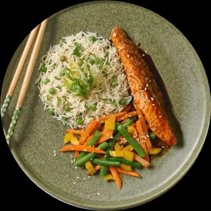 Omega Harmony Salmon Medley